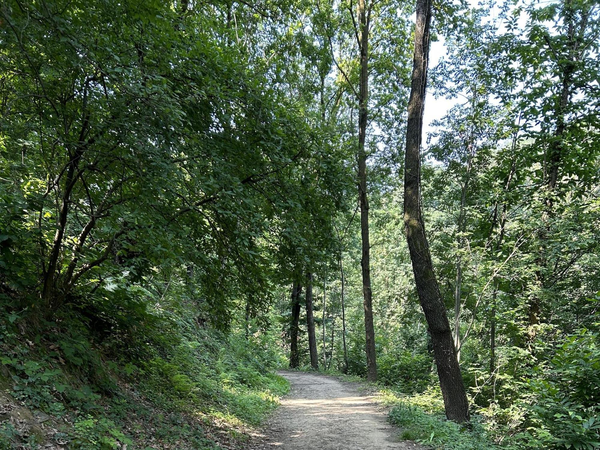 Апартаменты Il Giardino Di Berbech Citta Alta - Castagno Бергамо Экстерьер фото