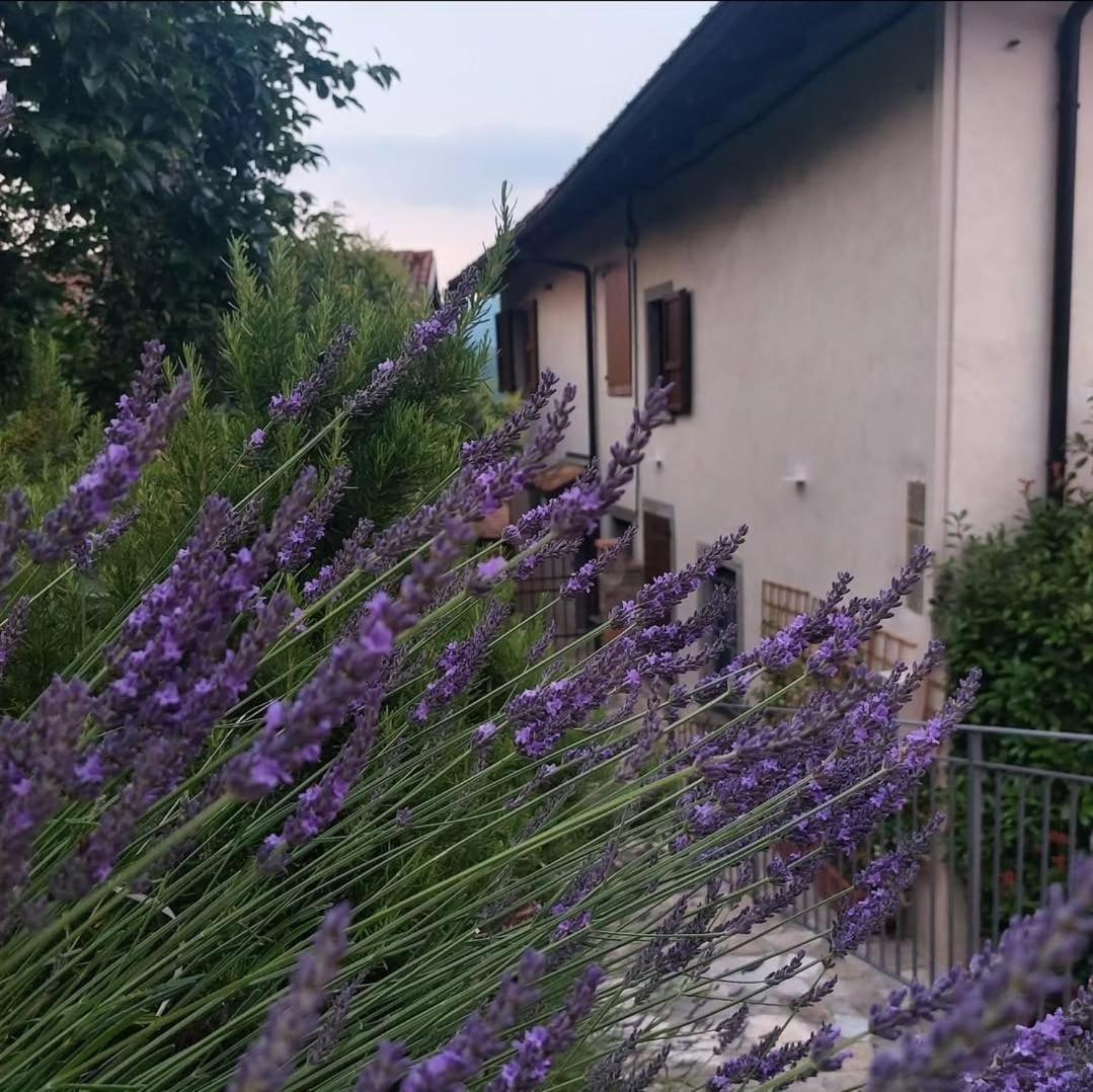 Апартаменты Il Giardino Di Berbech Citta Alta - Castagno Бергамо Экстерьер фото
